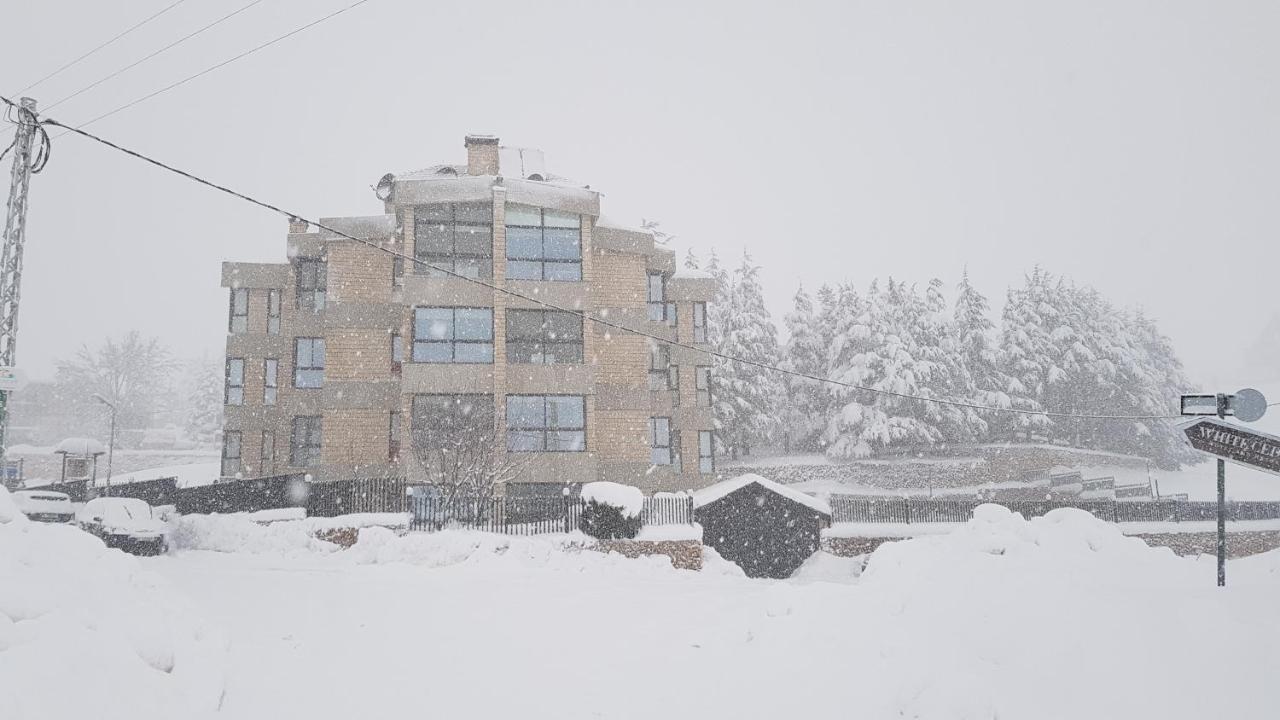 Saint Michel Chalets Аль-Арз Экстерьер фото