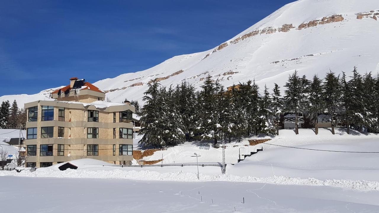 Saint Michel Chalets Аль-Арз Экстерьер фото